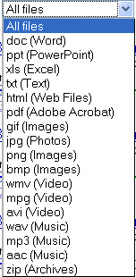 Google Desktop search file types